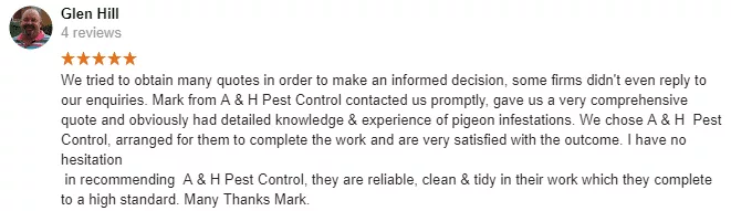 bird netting halstead halstead pigeon control