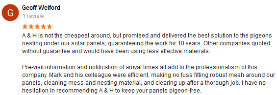 bird netting harlow harlow pigeon control services