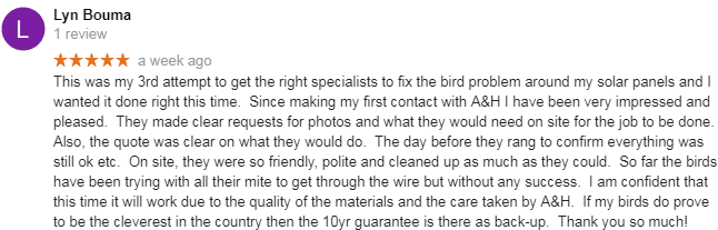 bird netting rickmansworth rickmansworth pigeon control