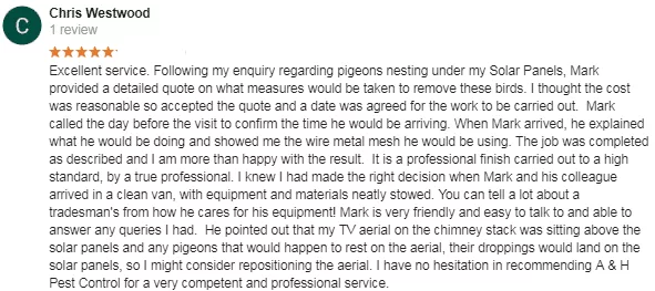 stockwell pigeon control
