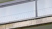 Bird Prevention Systems Staines