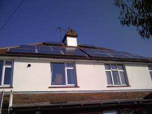 birdproofinglondon