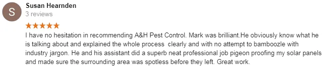 canvey island pigeon control