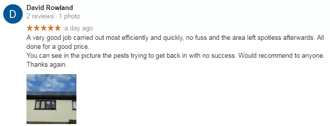 bird netting central london central london pigeon control