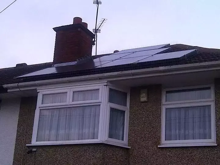 bird control in kent