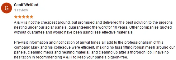 bird netting waltham cross waltham cross pigeon control services