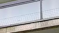 Bird Prevention Systems Walthamstow