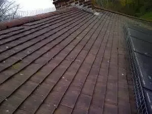 birdproofingkingstonuponthames