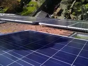 pigeoncontrolguildford