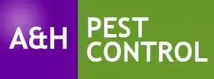 Wasp Control Belmont wasps Belmont